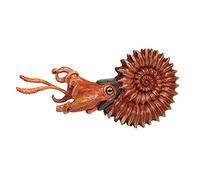 Safari S303429 Ammonite