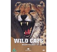 Safari: Wild Cats [DVD]