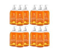 Safe Hands | Luxury Hand Wash | Orange & Bergamot | 12 x 500ml | Moisturising hand soap liquid | Antibacterial | Anti Bac Hand Soap | Removes 99% of Bacteria | Kind to Skin