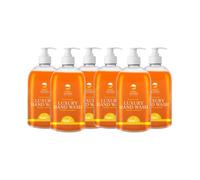 Safe Hands | Luxury Hand Wash | Orange & Bergamot | 6 x 500ml | Moisturising hand soap liquid | Antibacterial | Anti Bac Hand Soap | Removes 99% of Bacteria | Kind to Skin