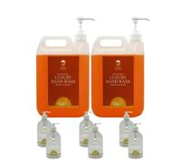 Safe Hands | Luxury Hand Wash with Pumps | 2 x 5 Litre & 6 x 500ml (Empty) | Orange & Bergamot | Moisturising | Anti Bac Hand Soap | Removes 99% of Bacteria | Kind to Skin