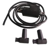 Safe Operations Ignitions Coil for Watercrafts 278000383