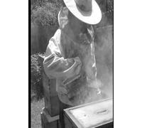 Safest Place in the Hive: A Novel