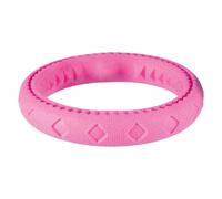 Safestix Throwing Dog Toy