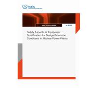 Safety Aspects of Equipment Qualification for Design Extension Conditions in Nuclear Power Plants