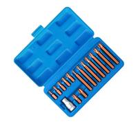 Safety Bit Set 15-Piece Set S2 Steel Universal Magnetic with