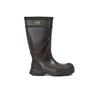 Safety boots Aigle Arvalt S5