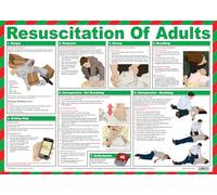 Safety First Aid Resuscitation of Adults Poster, A2