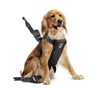Safety harness for dogs Zolux Travel