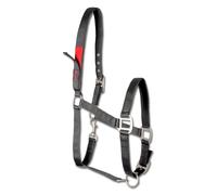 Safety headcollar for pony Waldhausen