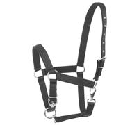 Safety Horse Halter Nylon Head Collar for Horse Trainers Black | Rope Attachment, Long Wear Comfort, Yearlings Fit, Stable Owners Use, Grooming Sessions and Competition