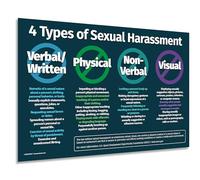 Safety Magnets 4 Types of Sexual Harassment Office Poster - Anti Discrimination Tool for the Workplace - School Counselor Posters - Laminated, 12x18 inches