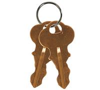 Safety Technology International, Inc. KIT-H19032 Two Replacement Keys #2341QQ