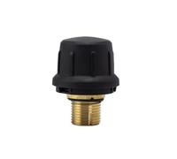 Safety Valve, Compatible for Karcher，Steam Cleaner Stopper Accessories SC1 SC2 SC1020 SC4 SC5 CTK10 SG4-4(SC2 SC1020)