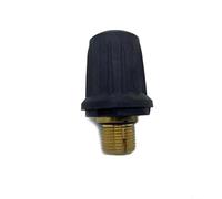 Safety Valve, Compatible for Karcher，Steam Cleaner Stopper Accessories SC1 SC2 SC1020 SC4 SC5 CTK10 SG4-4(SG4-4)