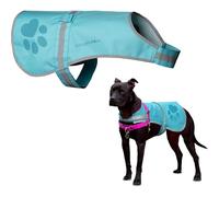 SafetyPUP XD - Protect Your Best Friend. Hi-Vis Fluorescent, Reflective Dog Vest Provides Crucial Visibility Helping You Safeguard Your Pet from Cars & Rural Accidents, On or Off Leash (Med, Teal)