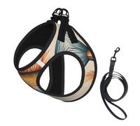 Safflower Flying Fish Print Dog Harness with Leash Set with Thickened Padded Vest for Extra-Small/Small Medium Dogs