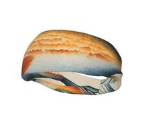 Safflower Flying Fish Print Fashion Elastic Sports Headband Unisex High Absorption Sweat Band Hair Band For Running, Fitness, Tennis & Outdoor Activities