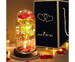 Saffri Led Lights Red Rose Gift in Glass Dome Perfect Present for Girlfriend Boyfriend GF BF Husband Wife Christmas Birthday Anniversary