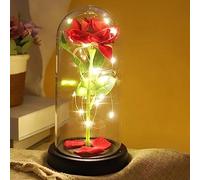 Saffri Led Lights Red Rose Gift Perfect Present for Mum Nanny Nanna Nan Grandma Gran Christmas Birthday Anniversary Mother's Day Present