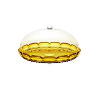 Saffron yellow CAKE SERVING SET "VANITY"