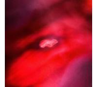 Antonacci Biagio - Dediche E Manie