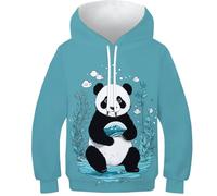 SAFGTXHTR Unisex Panda Hoodies 3D Wildlife Pattern Long Sleeve Hooded Jumper Lovely Animal Clothes with Pocket for 6-15years 10-12Y