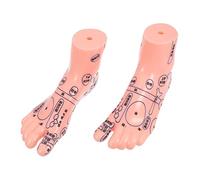 SAFIGLE 1Pair Foot Massage Model Durable Teaching Tool for Reflexology and Physiology for Schools and Training Institutions Premium Quality Foot Display Model