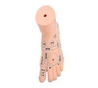 SAFIGLE 1Pc Single Foot Model for Display Reflexology Teaching Tool for Physiology Education Schools for Students Practitioners
