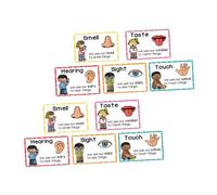 SAFIGLE 2 Sets Learning Posters for Preschoolers Cartoon Cognitive Flashcards for Early Education Versatile Sensory Wall Charts and Table Cards to Boost Language Skills and Development