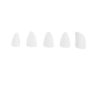SAFIGLE 5pcs White Nylon Lute Nail Covers for String Instrument Playing, Comfortable to Wear and Easy to Clean, Professional Grade Fingertip Protective Covers for Performance