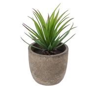 SAFIGLE Artificial Gladiolus Succulent Bonsai Plant Green Imitated Potted Decor for Home Indoor Office Material with Fade-resistant Finish No Watering Needed for Natural Ambience