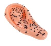 SAFIGLE Detailed Ear Acupunctures Points Silicone Model for Chinese Medicine Learning