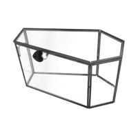 SAFIGLE Handmade Gothic Mini Coffin Glass Jewelry Box with Lid Sturdy Transparent Display Case for Halloween Decor Trinkets Keepsakes and Goth-themed Collectibles