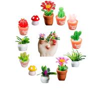 SAFITOYA Garden Clog Shoes Charms, 12PCS 3D Succulent Plant Shoe Charms Cactus Flower Mushroom Decorations for Girls Boys, Women Men
