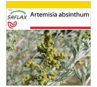 SAFLAX - Cultivation set - Wormwood - 500 seeds - With mini greenhouse, growing substrate and 2 pots - Artemisia absinthum