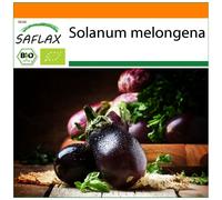 SAFLAX - Garden in the Bag - Organic - Aubergine - Black Beauty - 25 seeds - With substrate in a fitting stand up bag - Solanum melongena