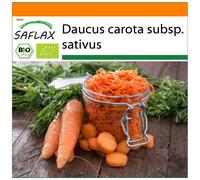 SAFLAX - Garden in the Bag - Organic - Carrot - Autumn King - 1000 seeds - With substrate in a fitting stand up bag - Daucus carota subsp. sativus