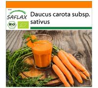 SAFLAX - Garden in the Bag - Organic - Carrot - Early Nantes - 1500 seeds - With substrate in a fitting stand up bag - Daucus carota subsp. sativus