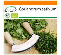 SAFLAX - Garden in the Bag - Organic - Coriander - 150 seeds - With substrate in a fitting stand up bag - Coriandrum sativum