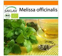 SAFLAX - Garden in the Bag - Organic - Lemon Balm - 1000 seeds - With substrate in a fitting stand up bag - Melissa officinalis