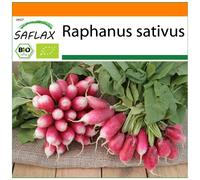 SAFLAX - Garden in the Bag - Organic - Radish - French Breakfast - 150 seeds - With substrate in a fitting stand up bag - Raphanus sativus