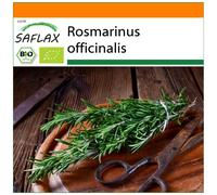 SAFLAX - Garden in the Bag - Organic - Rosemary - 40 seeds - With substrate in a fitting stand up bag - Rosmarinus officinalis