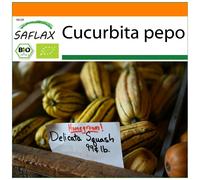 SAFLAX - Garden in the Bag - Organic - Squash - Delicata - 6 seeds - With substrate in a fitting stand up bag - Cucurbita pepo