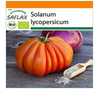SAFLAX - Garden in the Bag - Organic - Tomato - Oxheart - 10 seeds - With substrate in a fitting stand up bag - Solanum lycopersicum