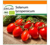 SAFLAX - Garden in the Bag - Organic - Tomato - Roma - 15 seeds - With substrate in a fitting stand up bag - Solanum lycopersicum