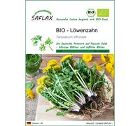 SAFLAX - Organic - Dandelion - 400 seeds - Taraxacum officinale