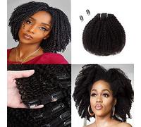 Saga Queen Brazilian Afro Kinky Curly Clip In Hair Extensions 8pcs 18clips 120g/pck Brazilian Virgin Remy Human Hair 4B4C Afro Clip Ins (1 bundle 8inch, natural black)