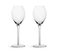 Sagaform Saga champagne glass 2-pack Clear
