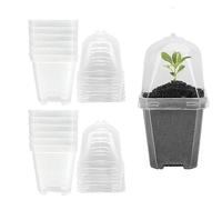 SagaSave 12 Sets Plants Nursery Pot, 15.5cm Plastic Square Nursery Flower Pots with Humidity Dome and Tray, Small Flower Plant Container for Seedlings, Cuttings, Transplanting (Transparent)